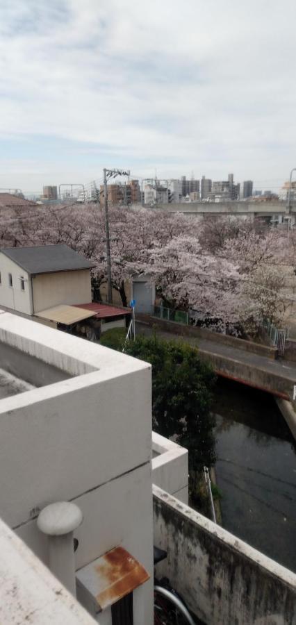 Cherry Blossom Koseicho Okayama Zewnętrze zdjęcie
