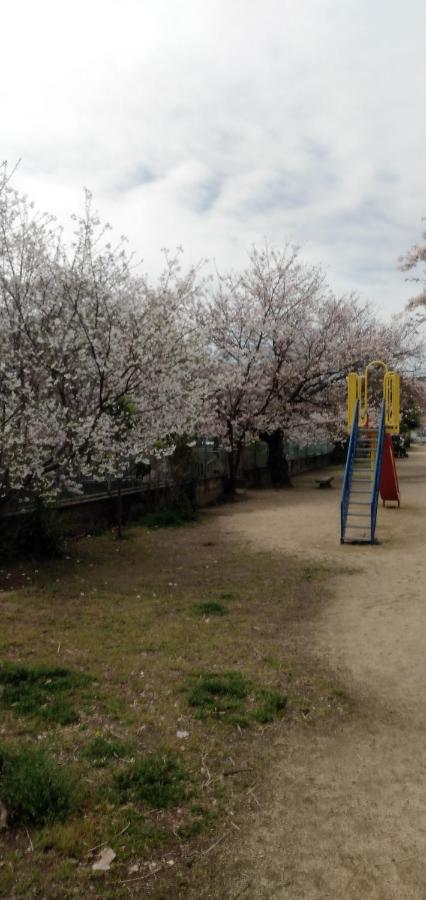 Cherry Blossom Koseicho Okayama Zewnętrze zdjęcie